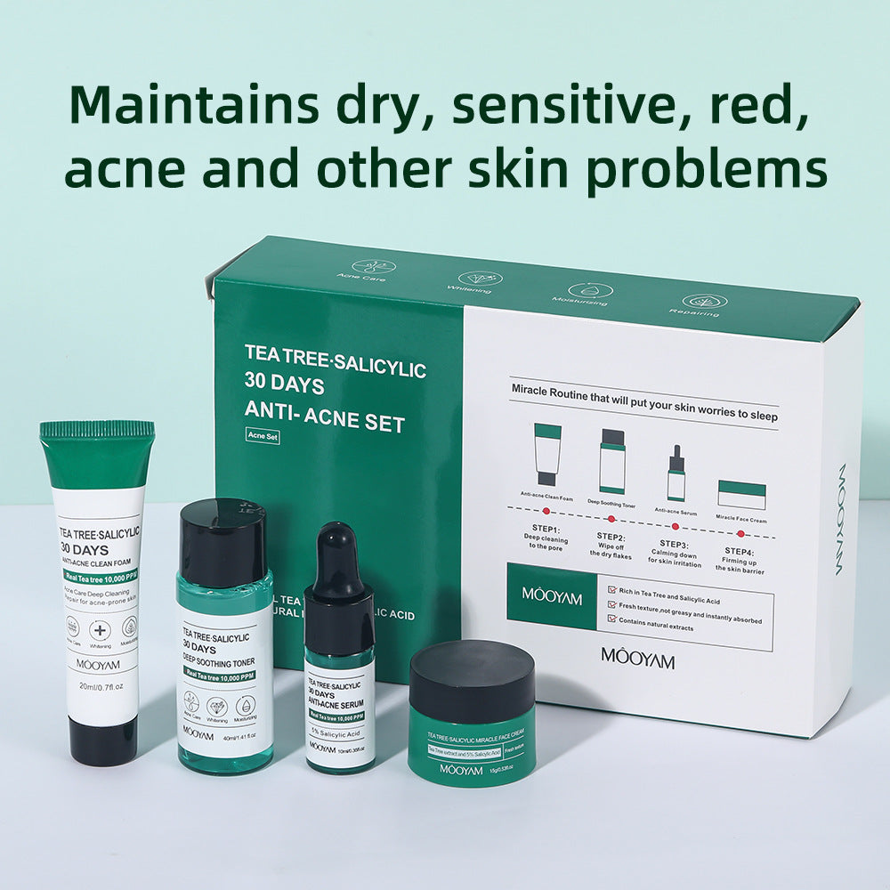 Tea Tree Acne Removing Skin Care Set