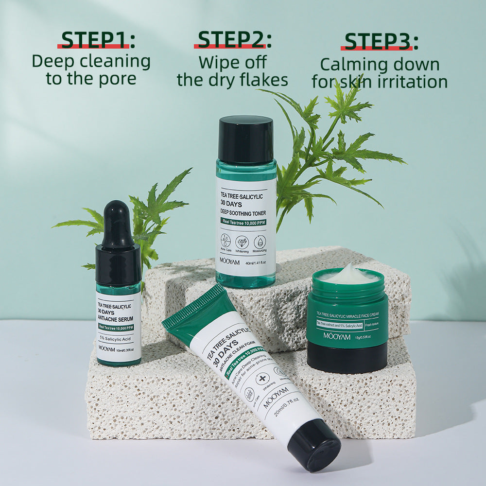 Tea Tree Acne Removing Skin Care Set